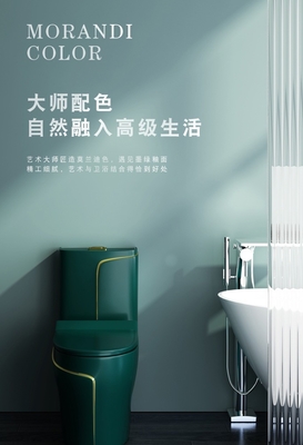toilette sanitaire des articles 6L