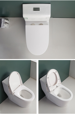 Taille moderne de confort de toilette sanitaire d'articles du piège 300mm de Siphonic S