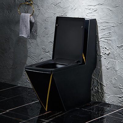 Conception de graphique sanitaire d'or de noir de toilette d'articles de lavage à grande eau d'une seule pièce
