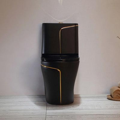 Siphon noir de toilette rinçant la toilette sanitaire d'articles