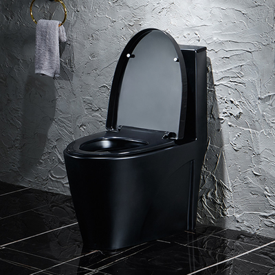 Lavage à grande eau en céramique autour de toilette sanitaire d'articles style royal de 1 morceau