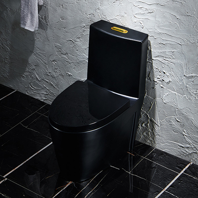 Lavage à grande eau en céramique autour de toilette sanitaire d'articles style royal de 1 morceau