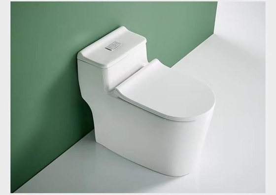 Conception 3D au plancher de double toilette sanitaire affleurante d'une seule pièce d'articles