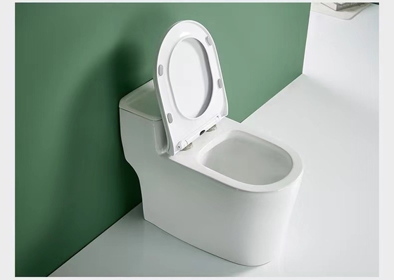 Conception 3D au plancher de double toilette sanitaire affleurante d'une seule pièce d'articles