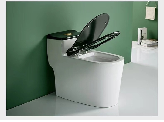 Conception 3D au plancher de double toilette sanitaire affleurante d'une seule pièce d'articles