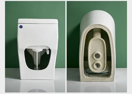 Conception 3D au plancher de double toilette sanitaire affleurante d'une seule pièce d'articles