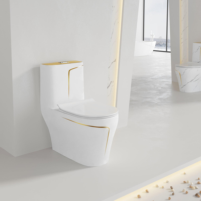 toilette de Siphonic One Piece du modèle 3D