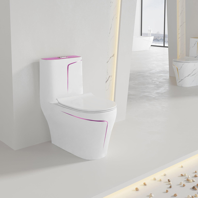 toilette de Siphonic One Piece du modèle 3D