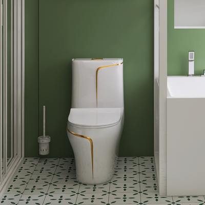 toilette de Siphonic One Piece du modèle 3D