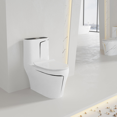 toilette de Siphonic One Piece du modèle 3D