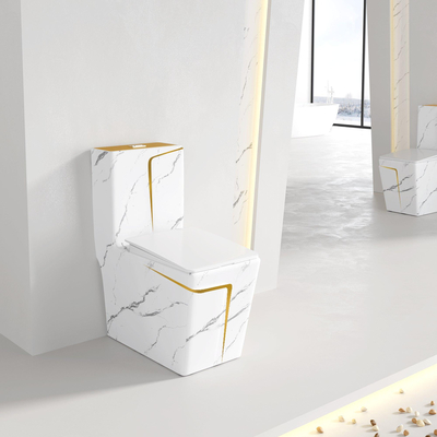Place de marbrure standard américaine d'ADA Floor Standing Toilet Gold