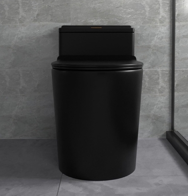 Siphon rinçant les ensembles en céramique de salle de bains de Matte Black Toilet One Piece