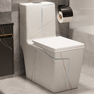 Siphon rinçant la conception blanche noire au plancher d'hôtel de piège de la toilette S
