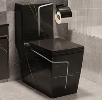 Siphon rinçant la conception blanche noire au plancher d'hôtel de piège de la toilette S