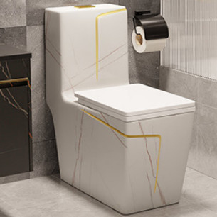Siphon rinçant la conception blanche noire au plancher d'hôtel de piège de la toilette S