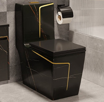 Siphon rinçant la conception blanche noire au plancher d'hôtel de piège de la toilette S