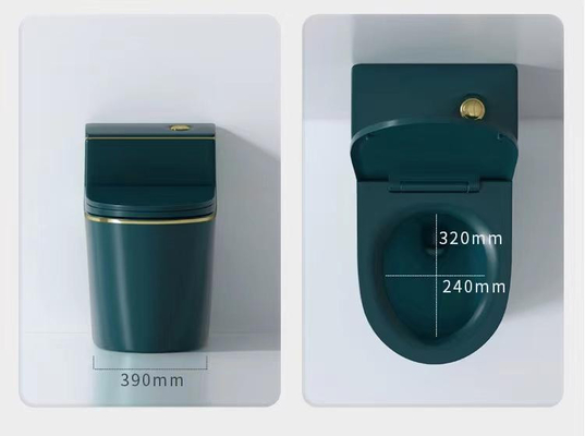 Réservoir coloré d'une seule pièce en céramique d'économie de l'eau de toilette de Siphonic