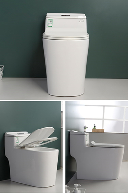 Mélange affleurant Pit Spacing de chaise de piège de S double de toilette d'une seule pièce de taille 220mm