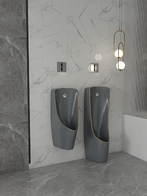 L'une seule pièce de retour sarclent la cuvette fixée au mur Grey Gold Color d'urinoir