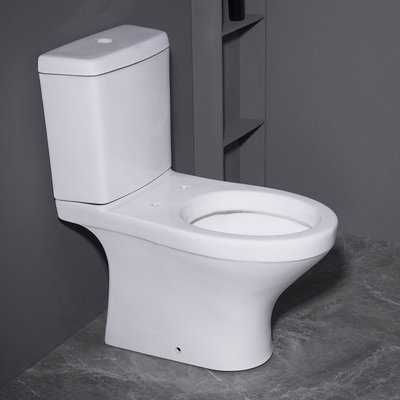 Modèle en deux pièces au plancher Graphic Desgin des toilettes 3D de lavage à grande eau
