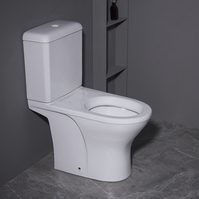 La place forment les articles sanitaires en deux pièces de double toilette au plancher affleurante