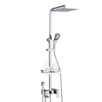 La douche de l'acier inoxydable 304 a placé les robinets chauds et froids fixés au mur