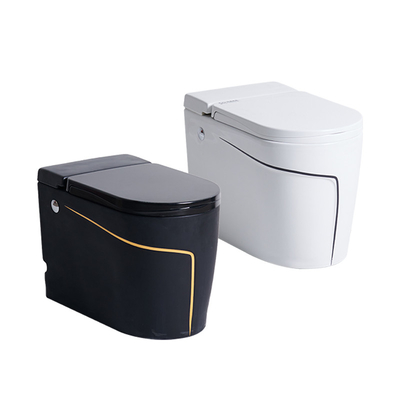 Articles sanitaires 615*360*455mm de toilette intelligente futée noire d'une seule pièce