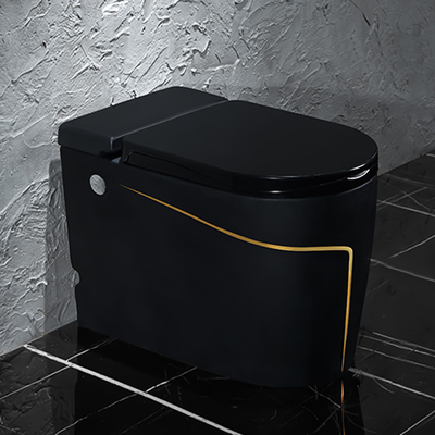 Articles sanitaires 615*360*455mm de toilette intelligente futée noire d'une seule pièce