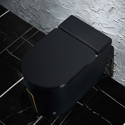 Articles sanitaires 615*360*455mm de toilette intelligente futée noire d'une seule pièce