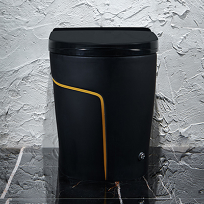 Articles sanitaires 615*360*455mm de toilette intelligente futée noire d'une seule pièce