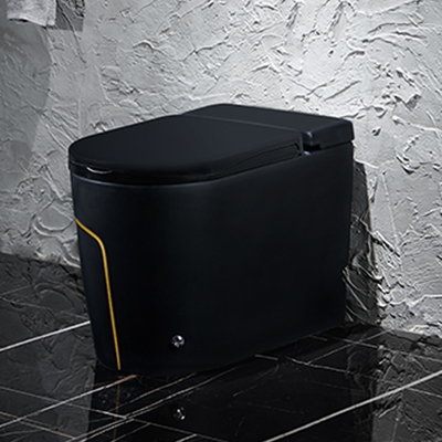 Articles sanitaires 615*360*455mm de toilette intelligente futée noire d'une seule pièce