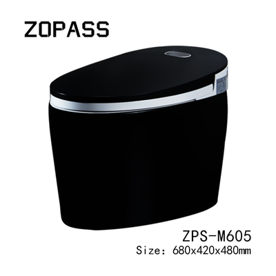 Nettoyage d'individu intelligent futé Tankless en céramique de Siphonic de toilette