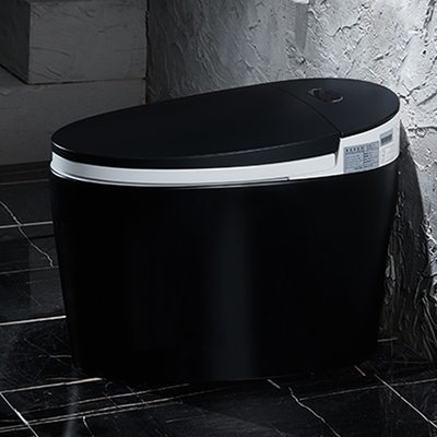 Nettoyage d'individu intelligent futé Tankless en céramique de Siphonic de toilette