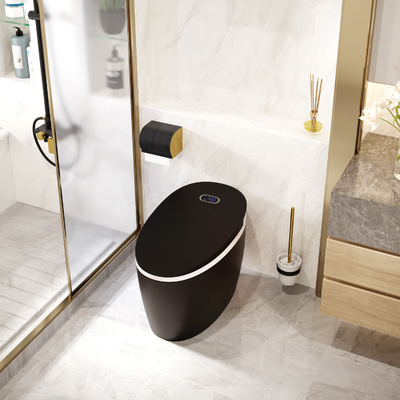 Économie de puissance intelligente futée de rinçage automatique de nettoyage d'individu de toilette