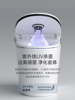 Siphon rinçant le lavage intelligent d'une seule pièce futé d'individu de toilette