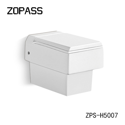 Mur sans monture Hung Toilet Bowl One Piece de piège blanc de P avec le bidet