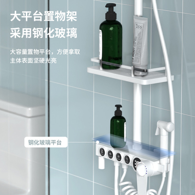 Douche de pluie fixée au mur en laiton blanche polie avec quatre fonctions